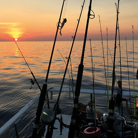 Northwind Fishing Charter excursiones de pesca en el cap de creus, costa brava